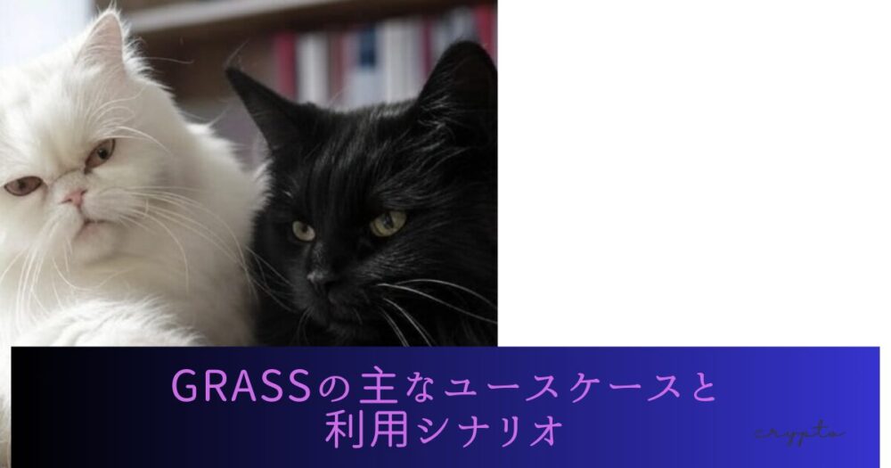 GRASSの主なユースケースと利用シナリオ