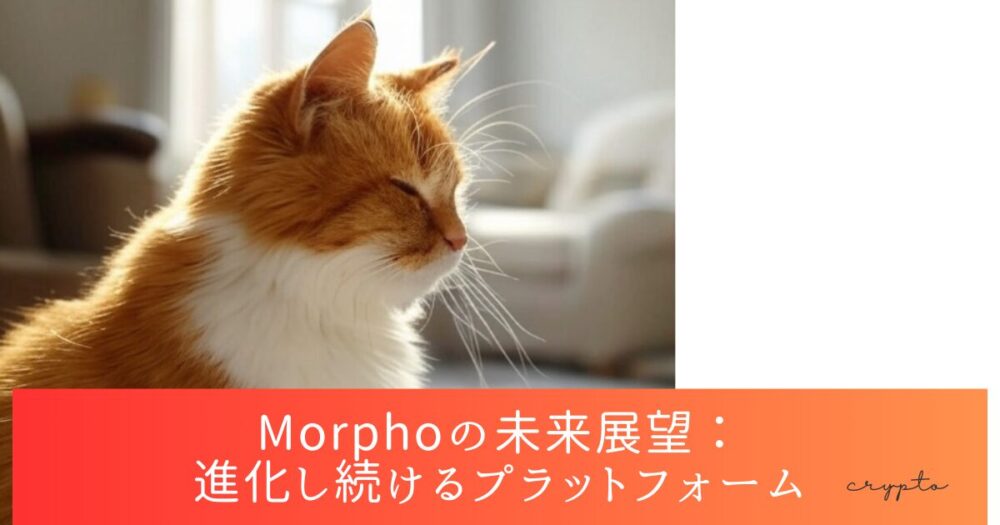 Morphoの未来展望：進化し続けるプラットフォーム