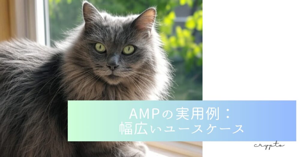 AMPの実用例：幅広いユースケース